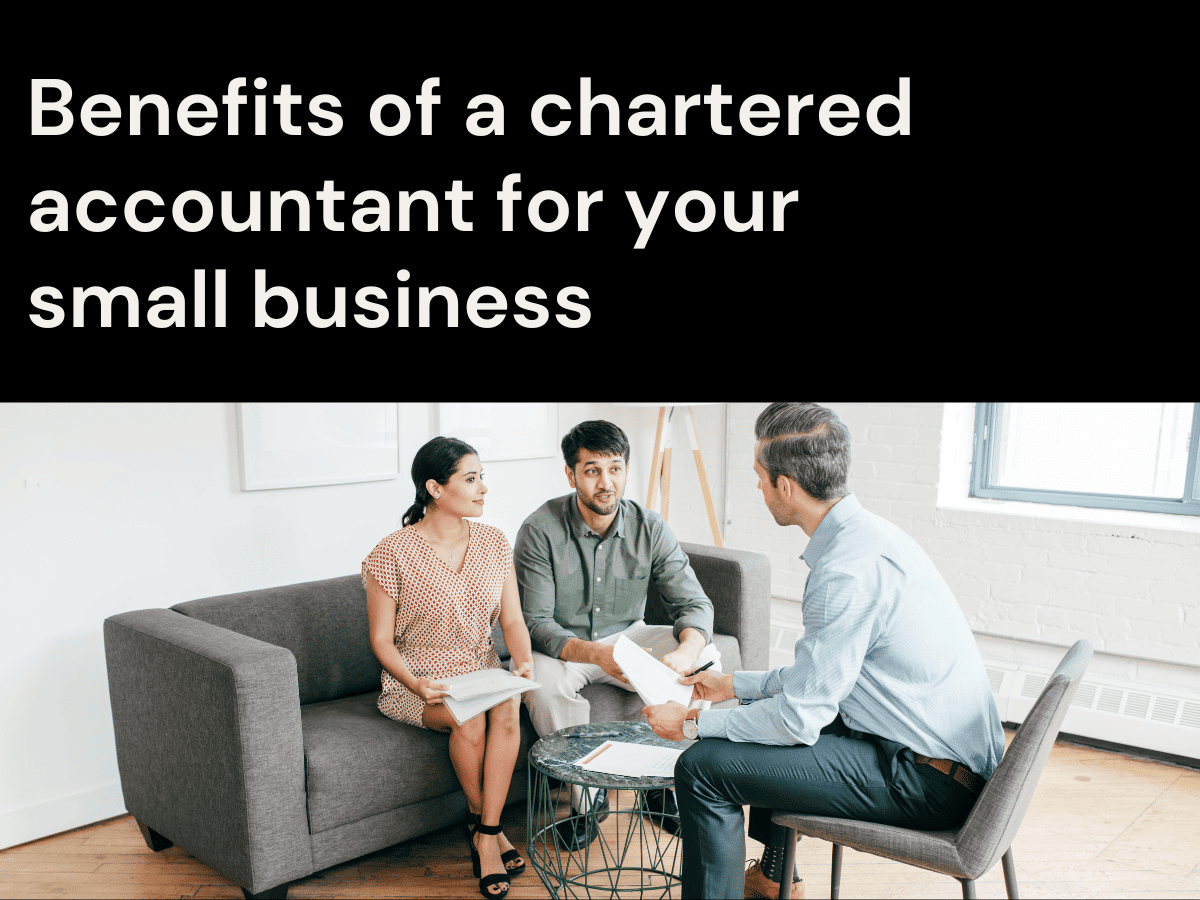 Benefits of a chartered accountant for your small business Raw Accounting